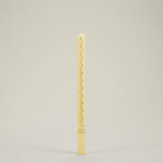 Advent Candle - Ivory