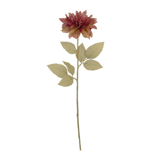 Dahlia Fairway Spur