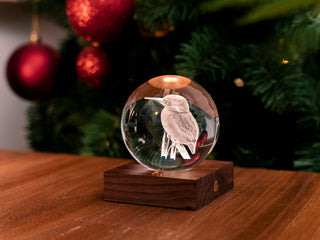 Amber Crystal Light Kingfisher