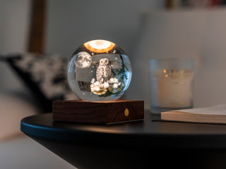 Amber Crystal Light Owl Moon