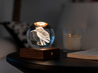 Amber Crystal Light Kingfisher