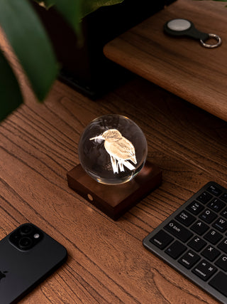 Amber Crystal Light Kingfisher