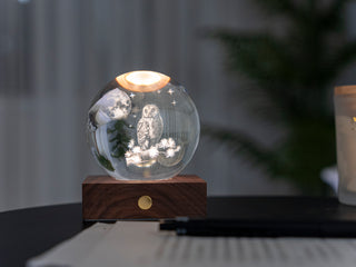 Amber Crystal Light Owl Moon