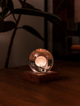 Amber Crystal Light Dandelion