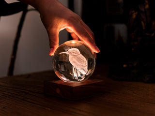 Amber Crystal Light Kingfisher