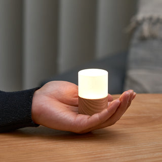 Large Lemelia Light Ash
