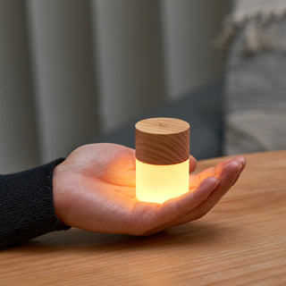 Large Lemelia Light Ash