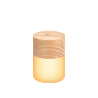 Large Lemelia Light Ash