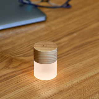 Large Lemelia Light Ash