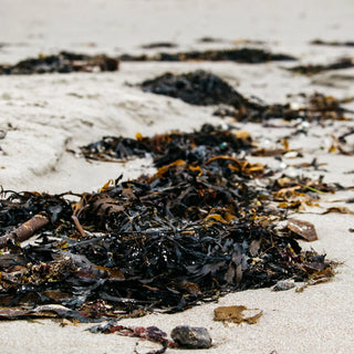 Tin Sea Salt