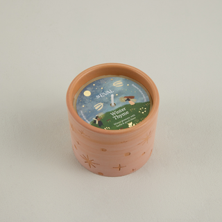 Pot Christmas Terracotta Winter Thyme