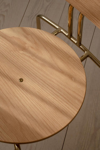 Curious Dinning Chair - Oak
