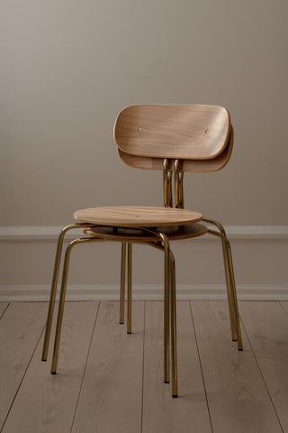 Curious Dinning Chair - Oak