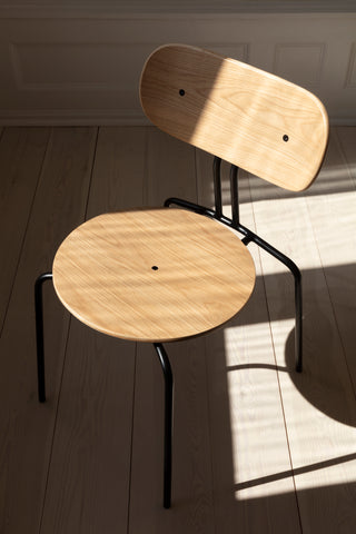 Curious Dinning Chair - Oak