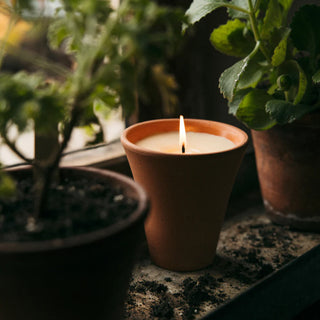 Victorian Herb Pot Large Bergamot & Nettle
