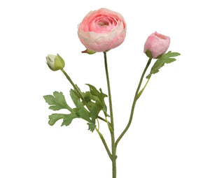 Ranunculus On Stem Pink - 51cm