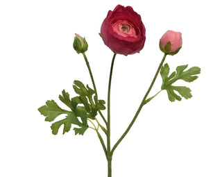Ranunculus On Stem Fuchsia -51cm