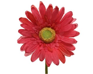 Gerbera Fuchsia - 50cm