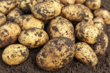 Load image into Gallery viewer, Potatoes 5kg Bag - Maris Piper