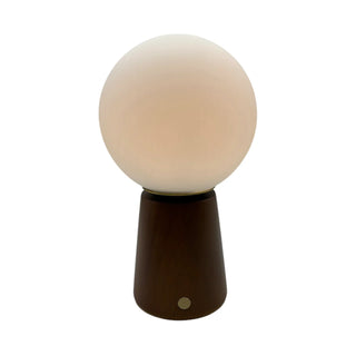 Table lamp with a round glass shade and wooden base on a white background