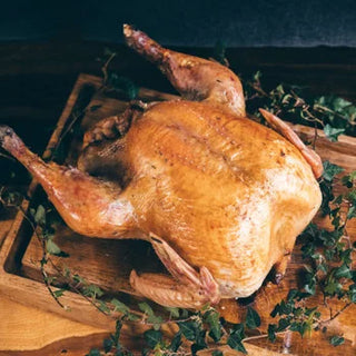 KellyBronze Turkey