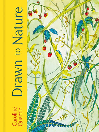 Drawn To Nature