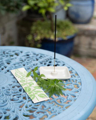 Incense stick on a white dish with green leaves on a blue table outdoors