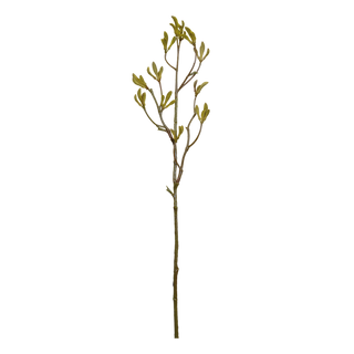 Kangaroo Paw Ore