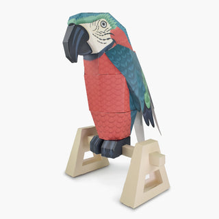 3d paper parrot on a white background