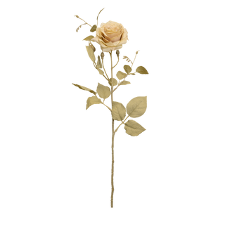 Rosa Majolica