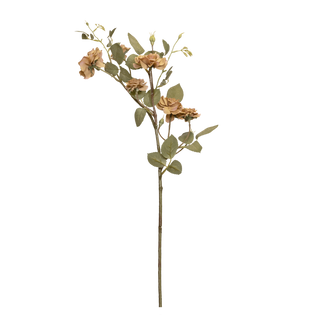 Rosa Spray Caramel