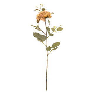 Rosa Toffee