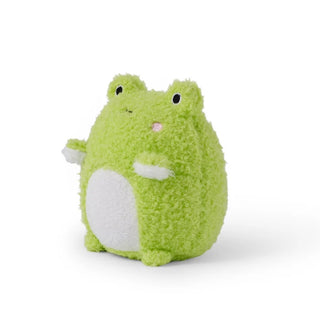 Green plush toy frog with a white belly on a white background