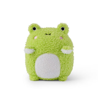 Green plush toy frog on a white background