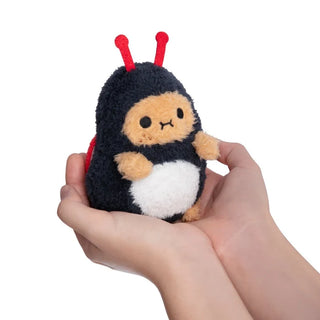 Small plush toy resembling a ladybug with red antennae held in a hand against a white background