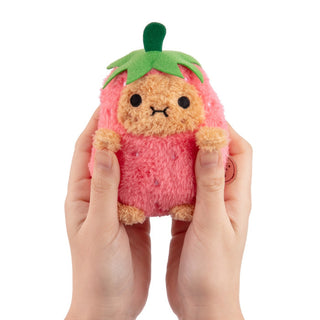 Strawberry plush toy held in hands infront of a white background