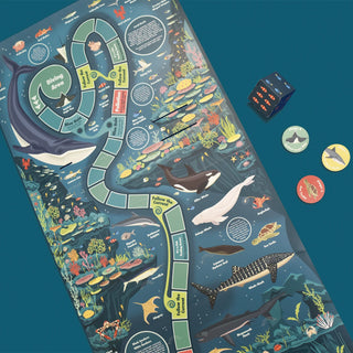 Section of the Create your own seascape board game with game pieces and 3d card die