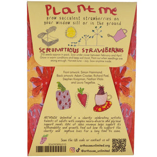 Strawberries Seeds Packet