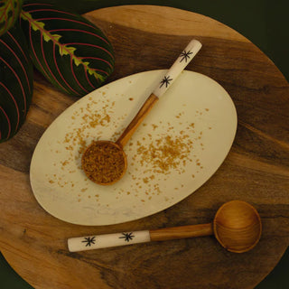 Wooden spoon with white handle on a white plate with scattered spices on a wooden table.