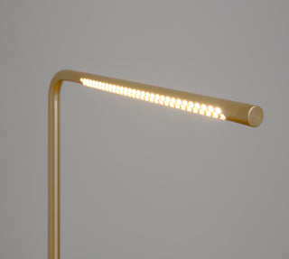 Omni Table Light