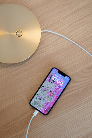 Omni Table Light