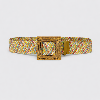 Alexis Belt - Multi Colour