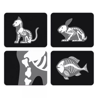 Veterinary Suitcase