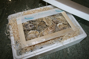 Cape Wrath Oysters (12 Large)